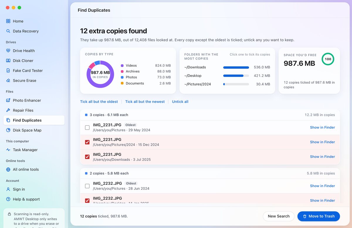 Find Duplicates results: 12 extra copies found, a chart of the space they take by file type, the folders with the most copies and a gauge of the space you'd free.